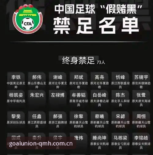 资深用户分享：足协第三批禁足名单深度解析，球盟会官网登录入口带你洞悉赛事风云